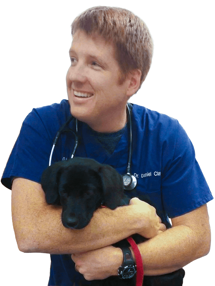 Veterinarian holding black puppy while smiling at veterinary clinic