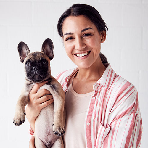 Veterinarian holding small dog during veterinary dental visit in Warwick RI